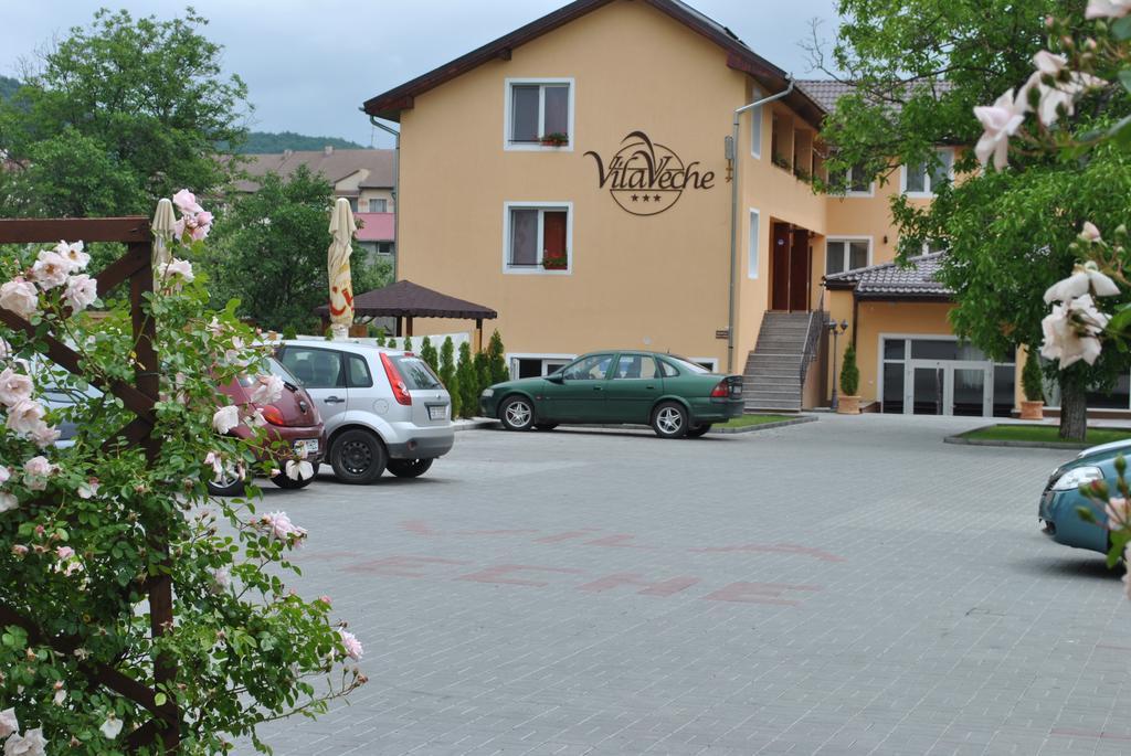 Vila Veche Hateg Ngoại thất bức ảnh