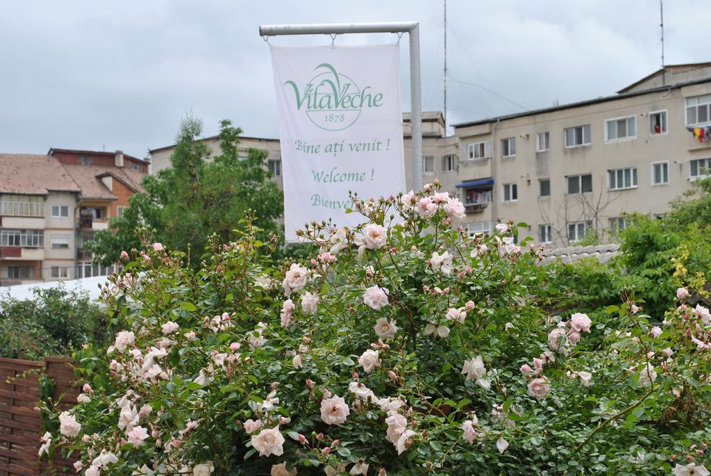 Vila Veche Hateg Ngoại thất bức ảnh